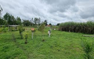 Chácara para vender com 3 quartos, 6747m² - 808